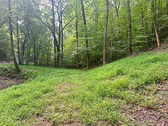 5th image of 2012 Gold Point Cir S