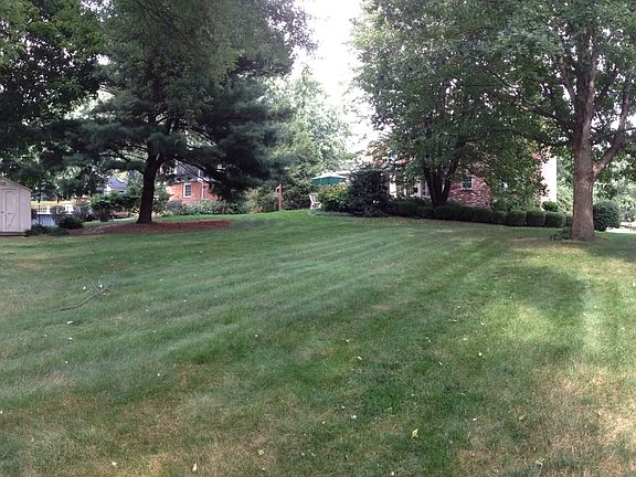 Park like backyard