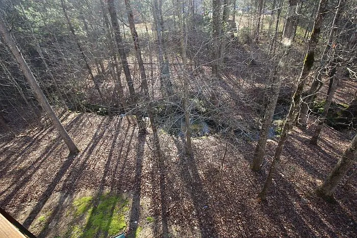 1117 Clear Stream Rdg — Photo 38