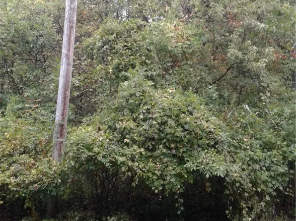 Sheffield Dr, Sheffield Lake, OH 44054