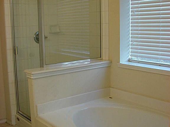 Shower and Garden tub in Master bedroom