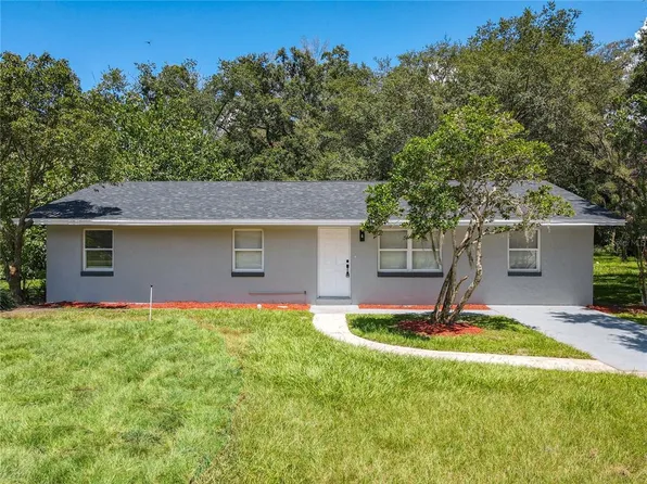 3907 Holly Ct, Mount Dora, FL 32757