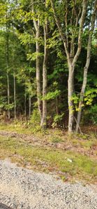 Lot 35 -2 Back Road, Shapleigh, ME, 04076
