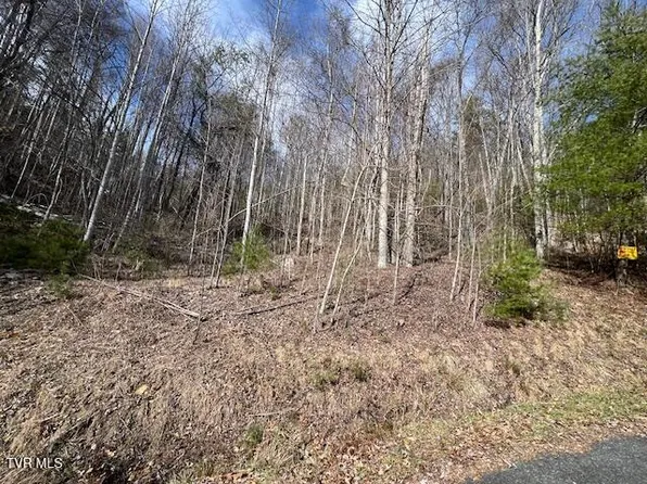 Tbd Callalantee Dr, Mountain City, TN 37683