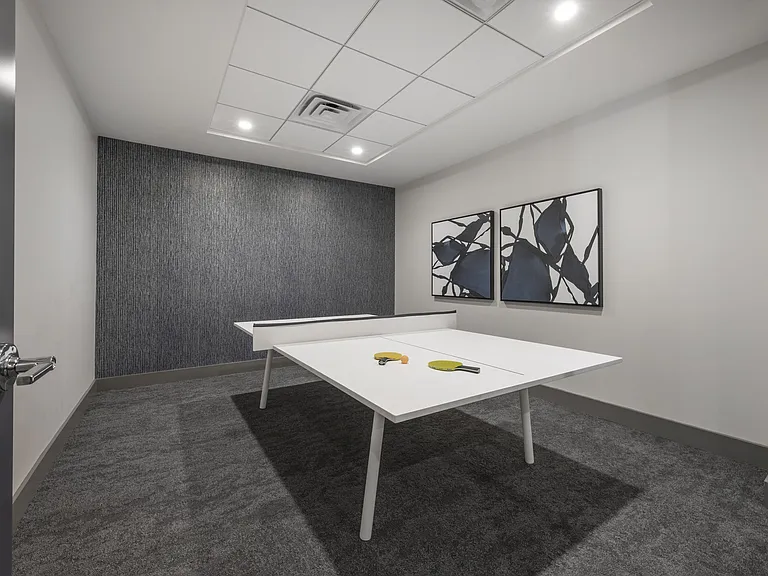 Ping Pong Amenity