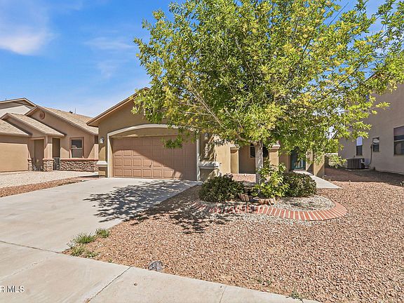 3rd image of 12569 Wolf Berry Dr