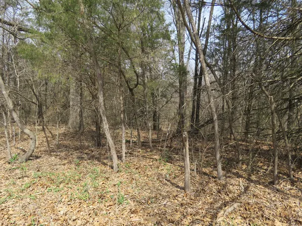 1617 Ashbriar Cir, Green Forest, AR 72638