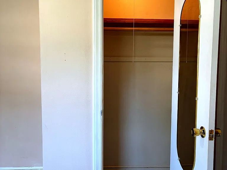 downstairs bedroom closet