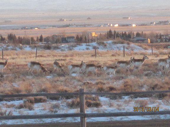 2nd image of 6741 Black Elk Trl