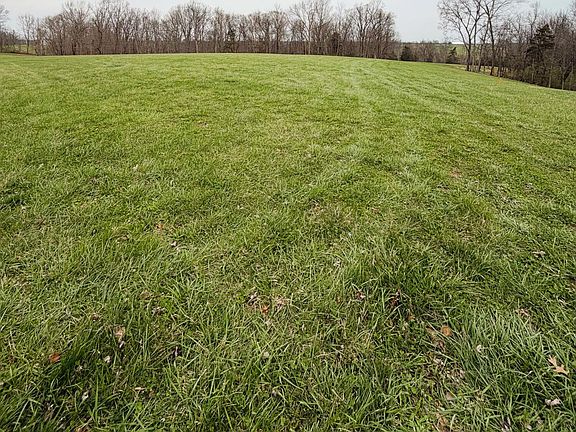 2nd image of Osborne Rd