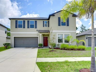 13407 Willow Bluestar Loop, Riverview, FL, 33579