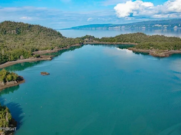 0 Bear Cove Ln, Homer, AK 99603
