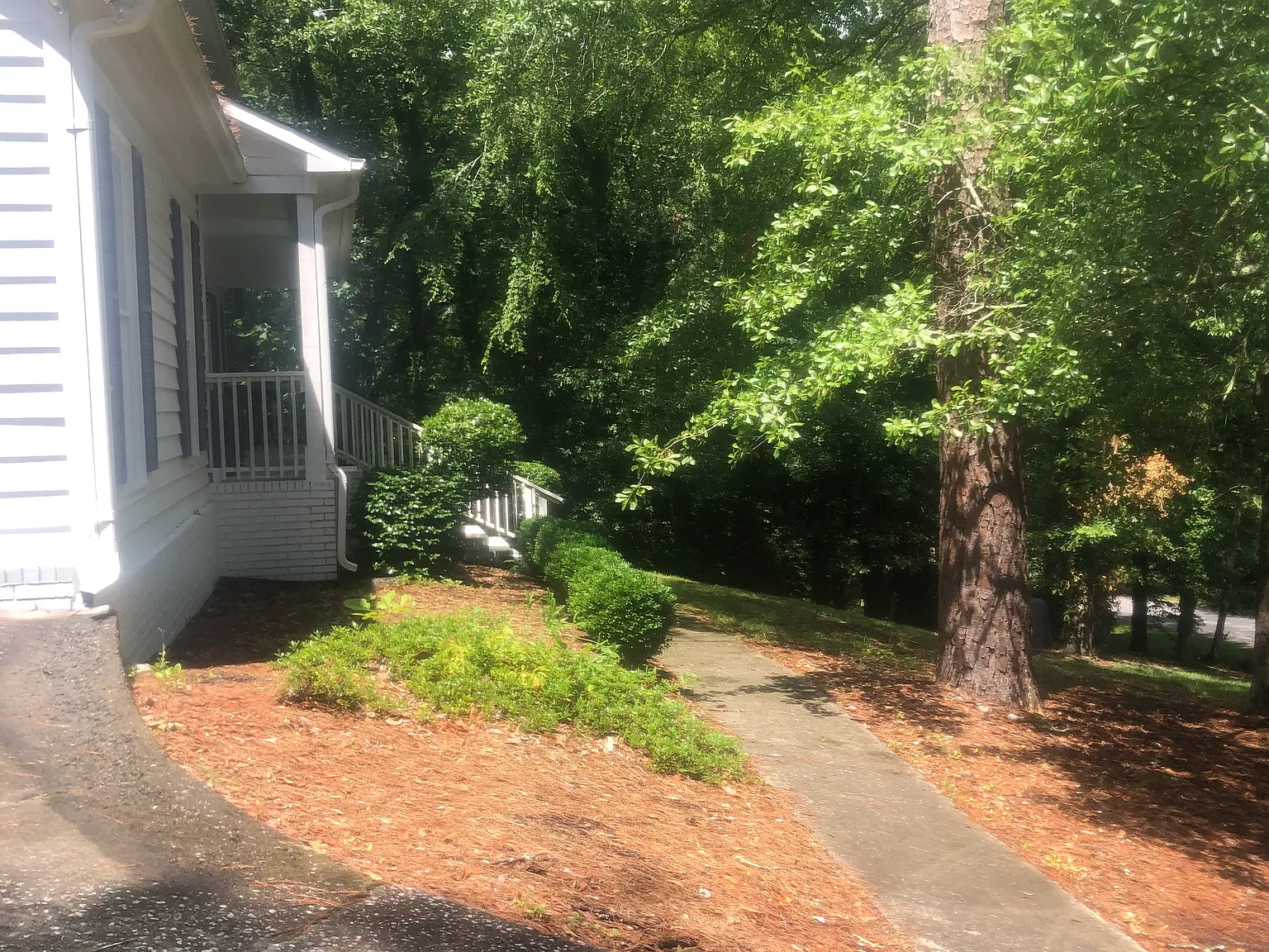 5 bed, 2.5 bath, 3125 sqft, $2,650 — Photo 3