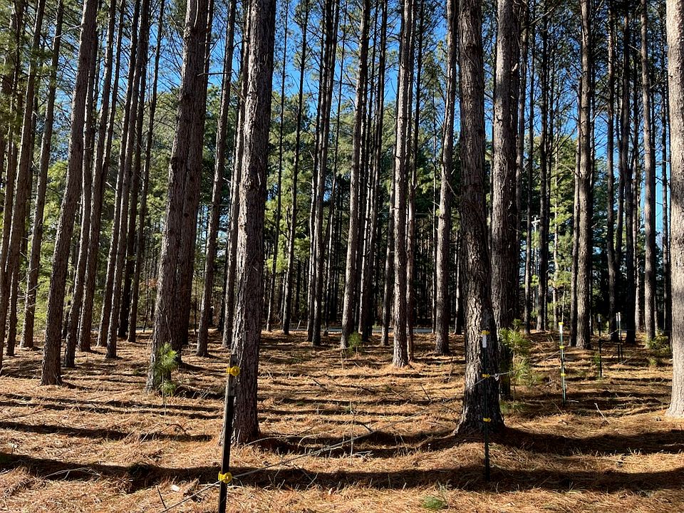 2nd image of 2075 Mount Lebanon Rd