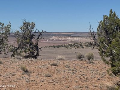 Lot 96 Bonito Valley Ranch -- #96, Saint Johns, AZ, 85936