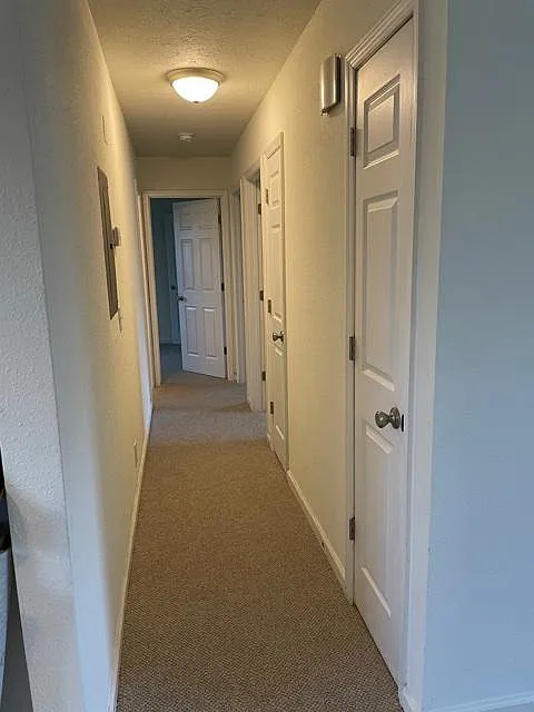 329 Scalf Dr — Photo 3