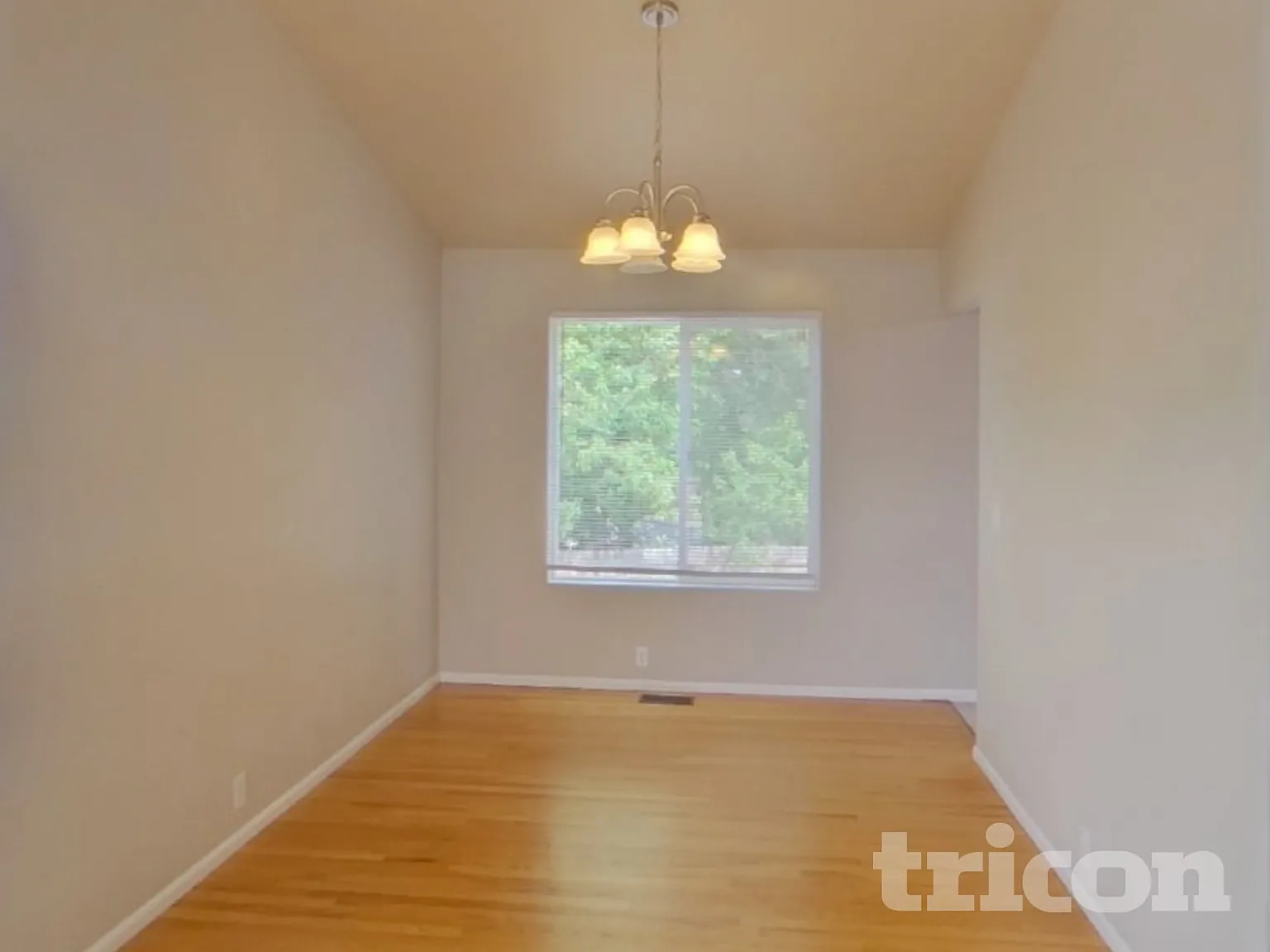 8405 Sunbow Ct Fountain CO — Photo 4