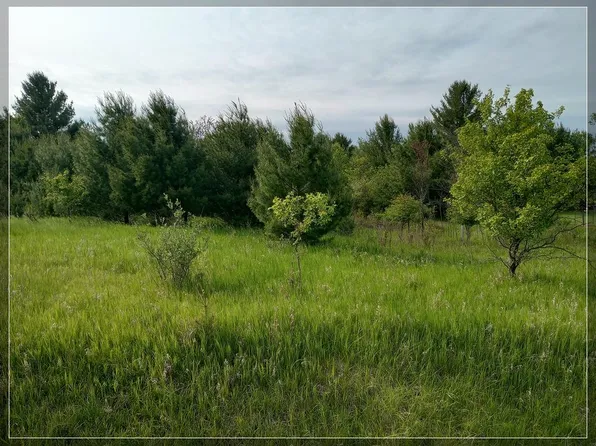 LOT 25 Winchester Way, Gladwin, MI 48624