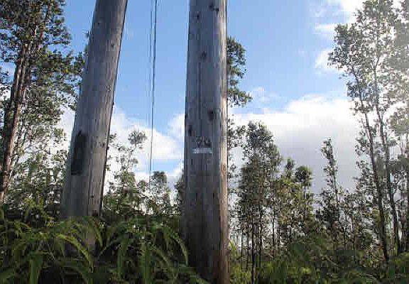 5th image of Road 9 Koloa Maoli Lot 72