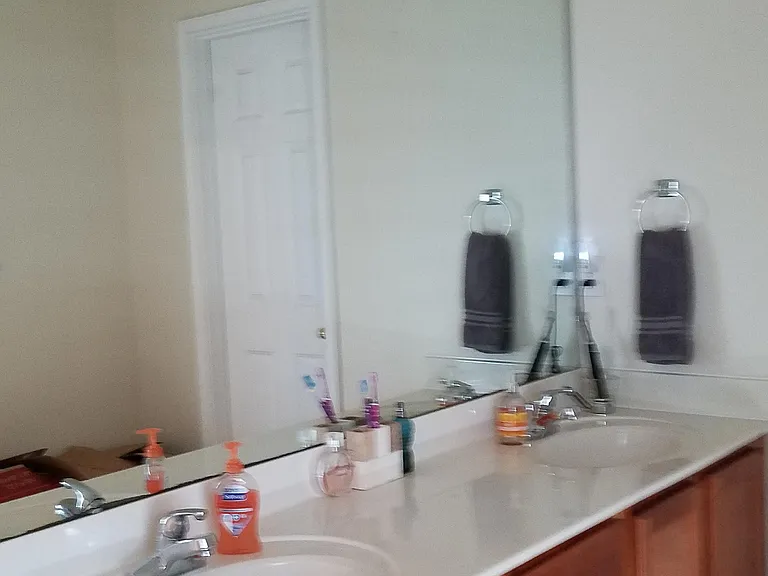 2809 Red Plum Ct — Photo 32