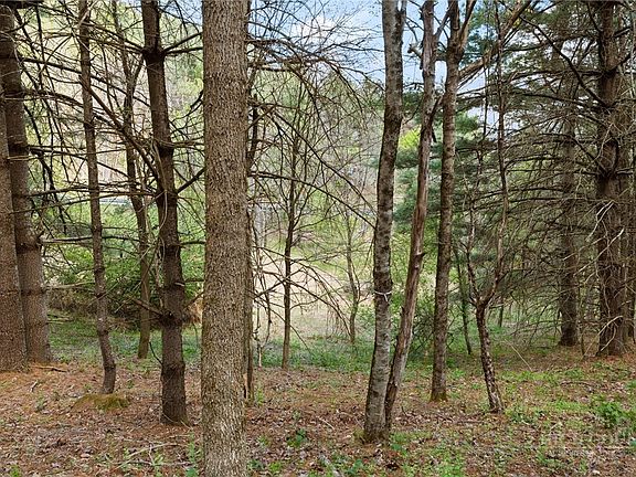 3rd image of TBD Highland Ridge Road