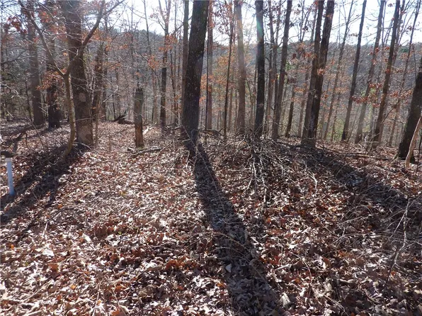 Hanney Ln, Bella Vista, AR 72714