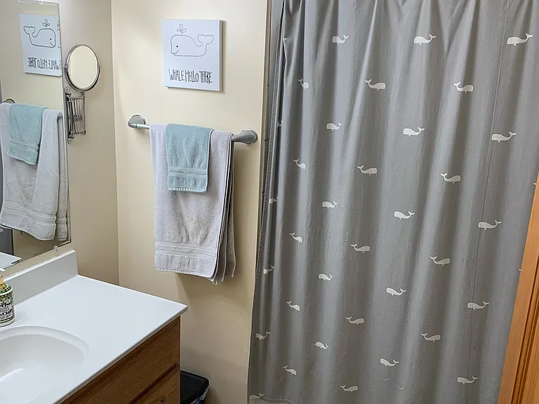 Master bathroom