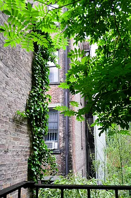 Rented by Citi Habitats | media 45