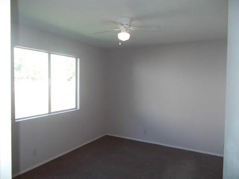 8710 Piney Point Dr #B — Photo 5