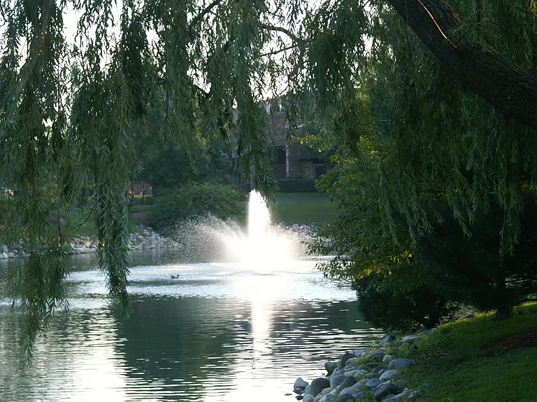 Mallard Lake — Photo 16