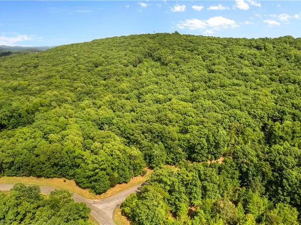 159 Pinnacle Trl, Denton, NC 27239