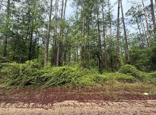 Tbd Seminole Avenue, Interlachen, FL 32148