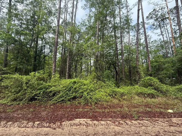 Tbd Seminole Avenue, Interlachen, FL 32148