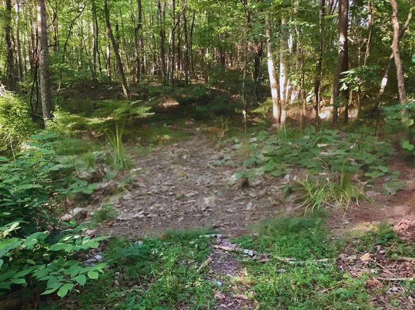 0 Walden Farms Rd #1, Signal Mountain, TN 37377