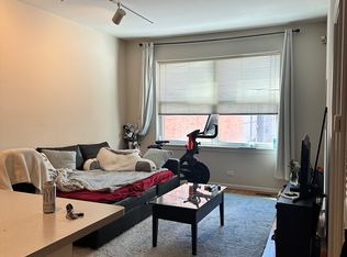1048 N Wood St APT 4, Chicago, IL 60622