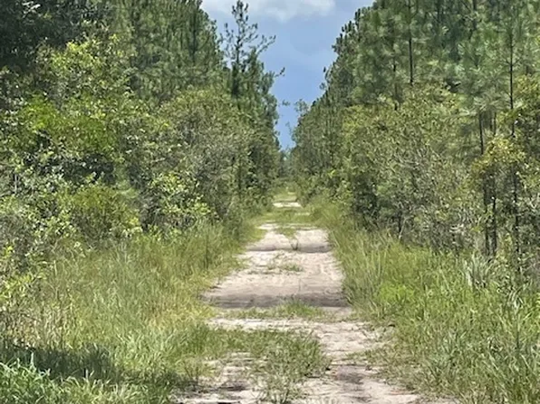 0 Gale St, Hastings, FL 32145