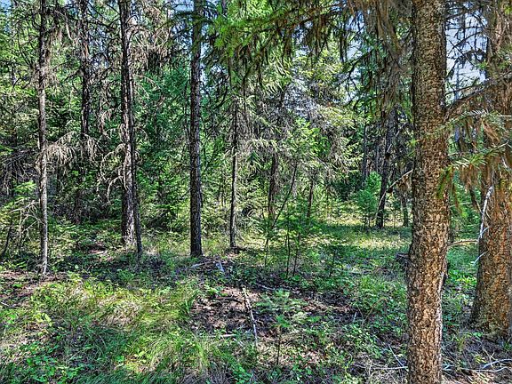 5th image of LOT 4 Forest Ridge Rd