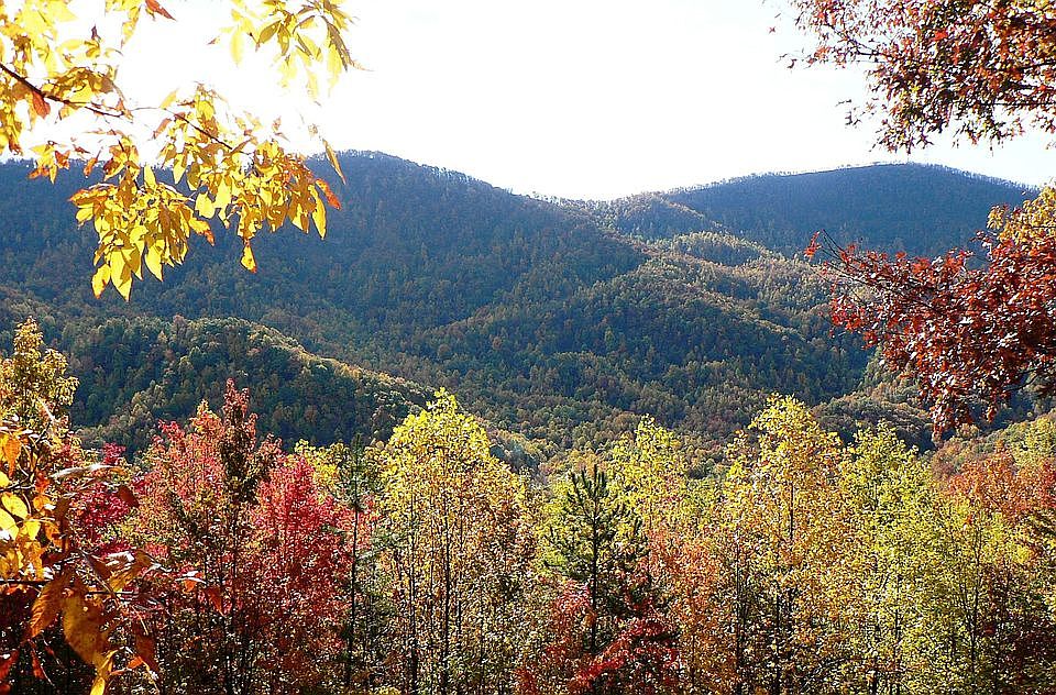 Fall view from covered porch