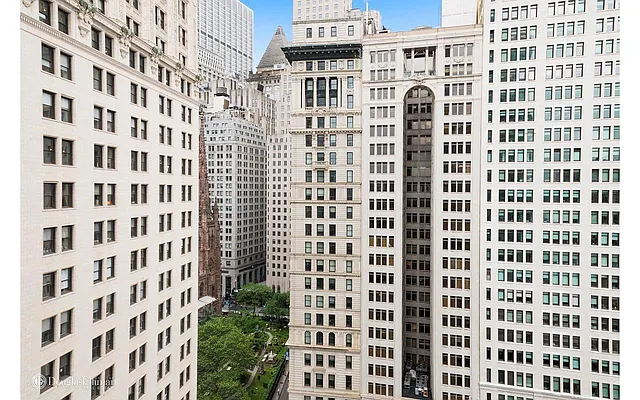 Sold by Douglas Elliman | media 6