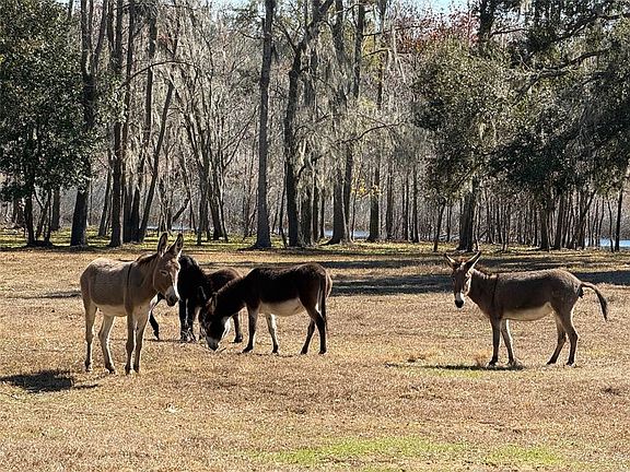 4th image of 37214 Hester Rd