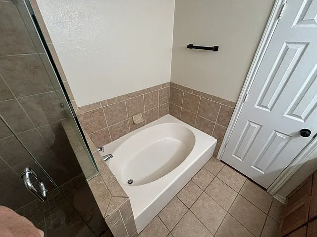 master bathtub