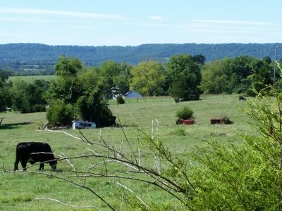 202 Academy Rd, Berryville, AR, 72616