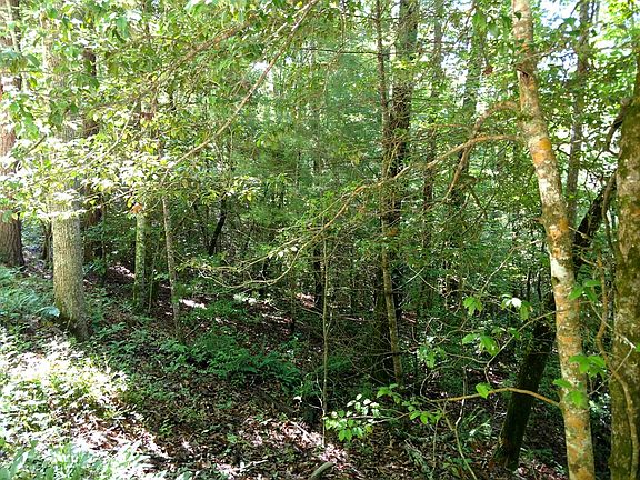 4th image of 0 Dean Falls Trl