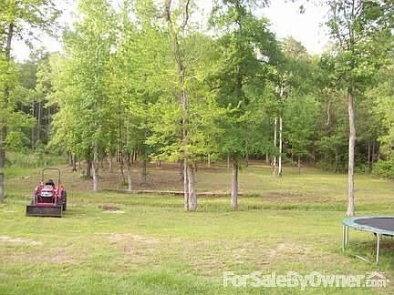 View from Back Porch
						:
						National forest at tree line (approx. 100 yds from house)