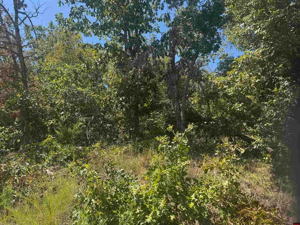 McDonald Meadows Pkwy, Bull Shoals, AR 72619