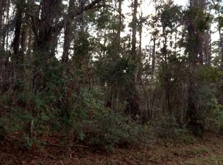 1182 E Toledo Dr, Citrus Springs, FL 34434