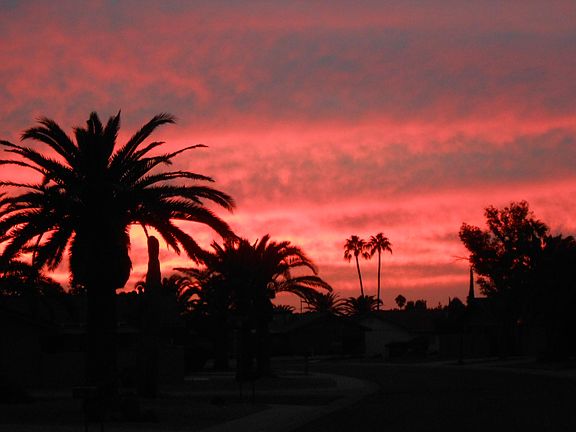 Sunset Front