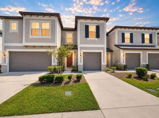 31555 Blue Passing Loop, Wesley Chapel, FL 33545