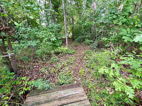 3rd image of 136 Heartleaf Way
