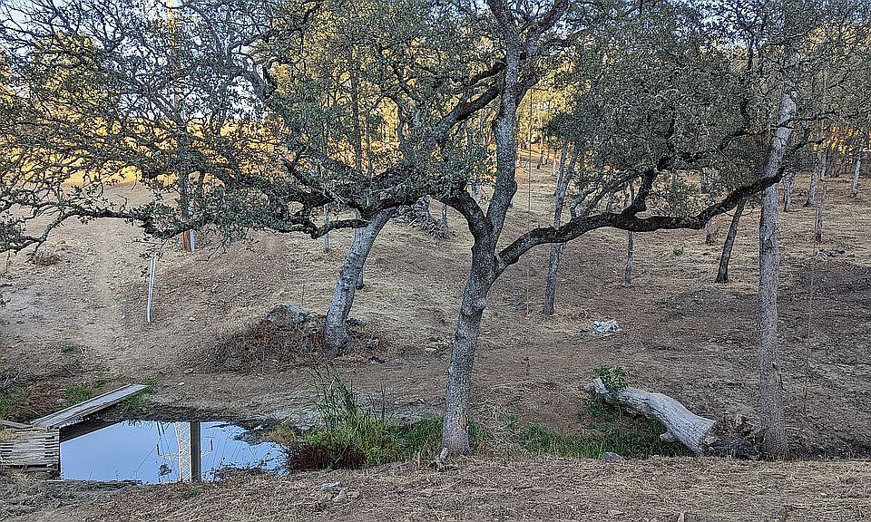 1st image of 4251 Hensley Cir